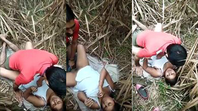 Desi Girlfriend Sharing Sex In Jungle Leaked Porn Video